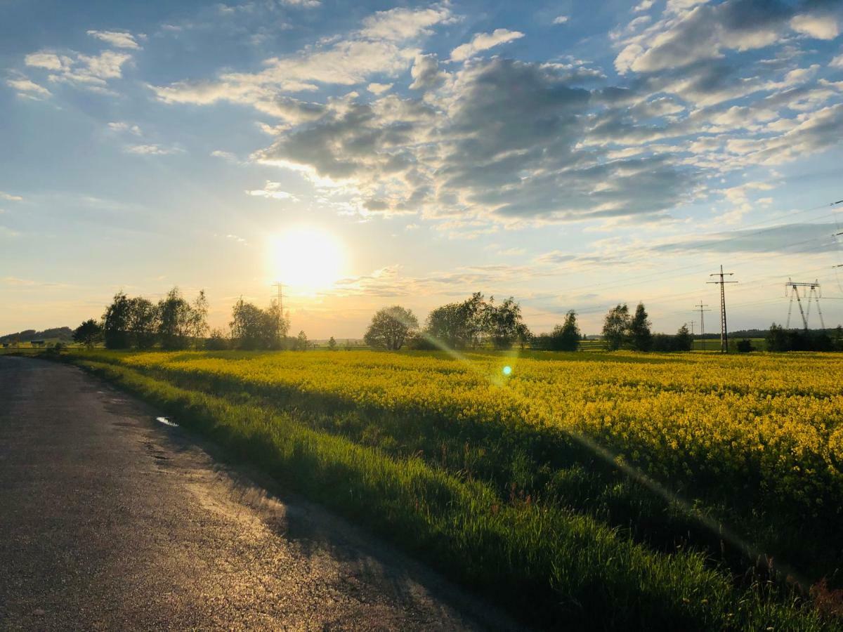 Nibylandia Dom Pod Lasem Nowa Wies Grodziska ภายนอก รูปภาพ