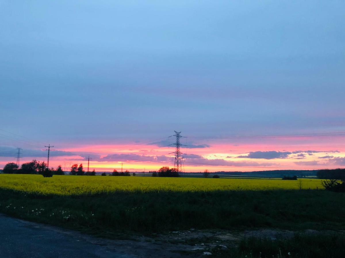 Nibylandia Dom Pod Lasem Nowa Wies Grodziska ภายนอก รูปภาพ